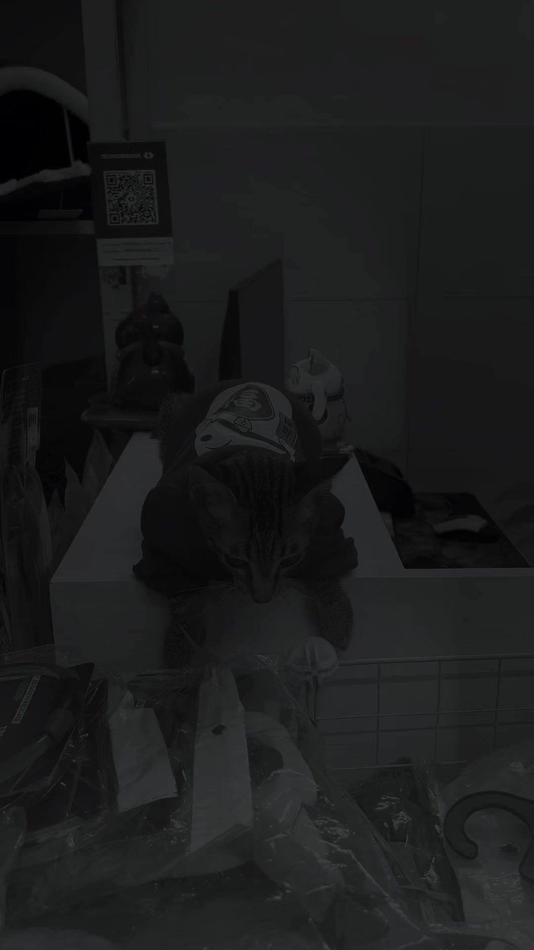 @TiTi Pet