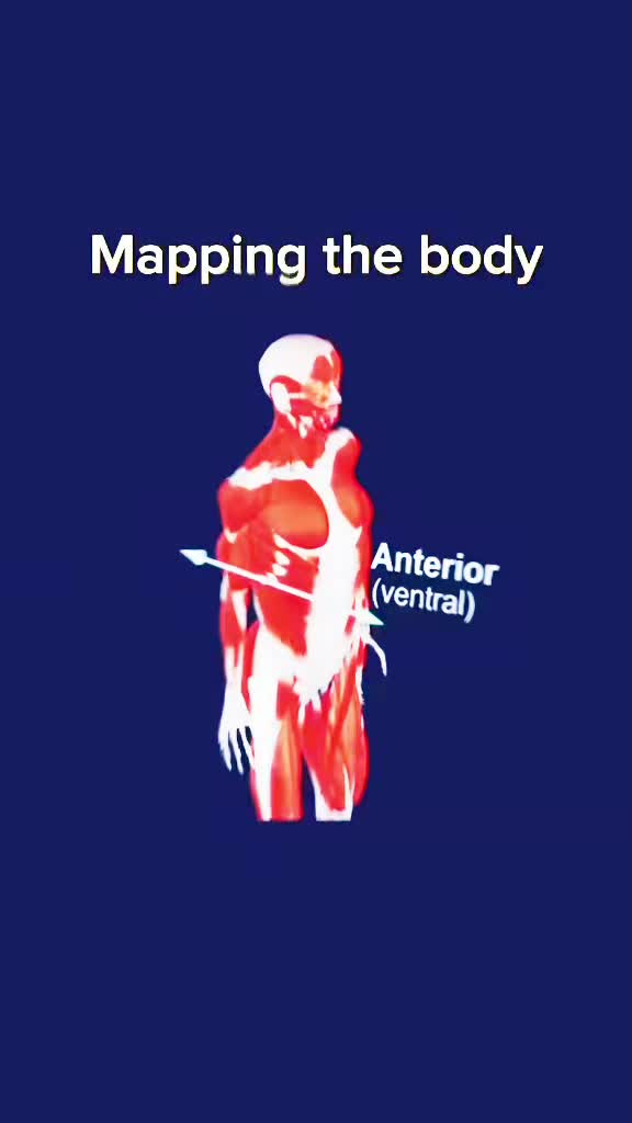 @the radiology zone
