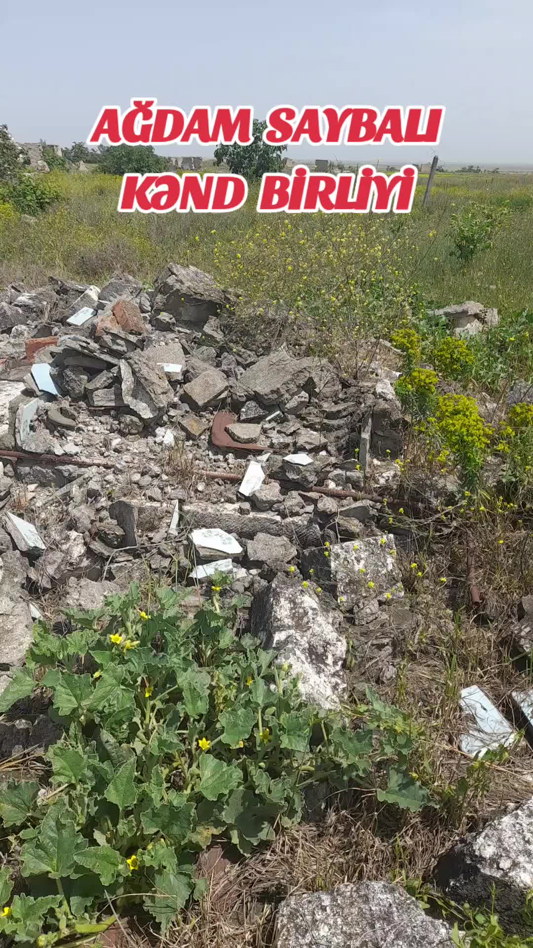 @TEYMUR AĞDAMLI SAYBALI