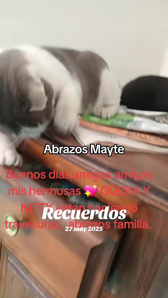 @minyna102