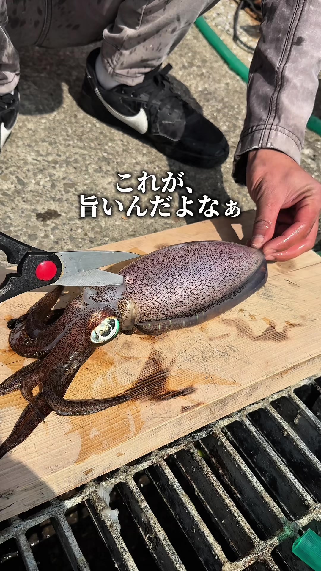 @りょう丸船長