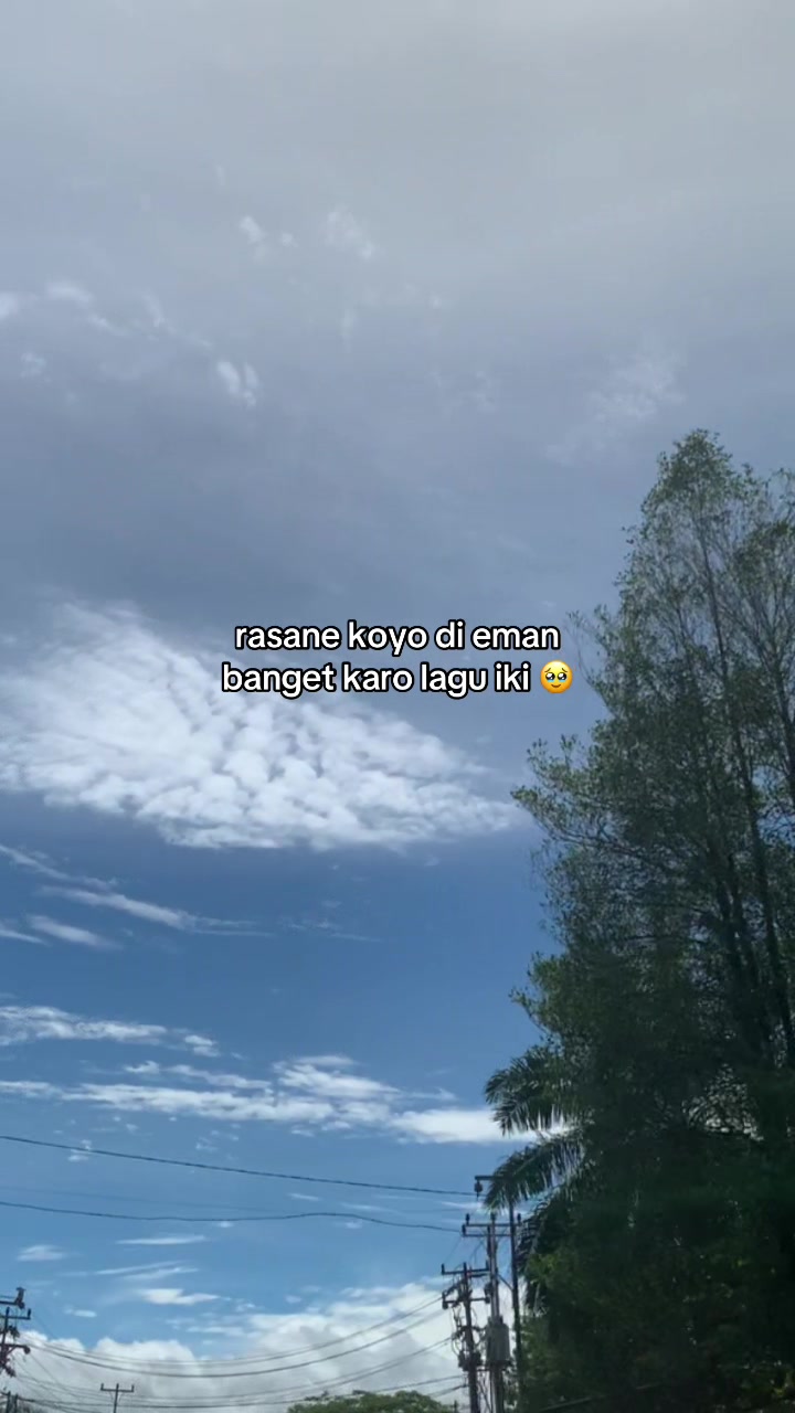 @manusiamanis
