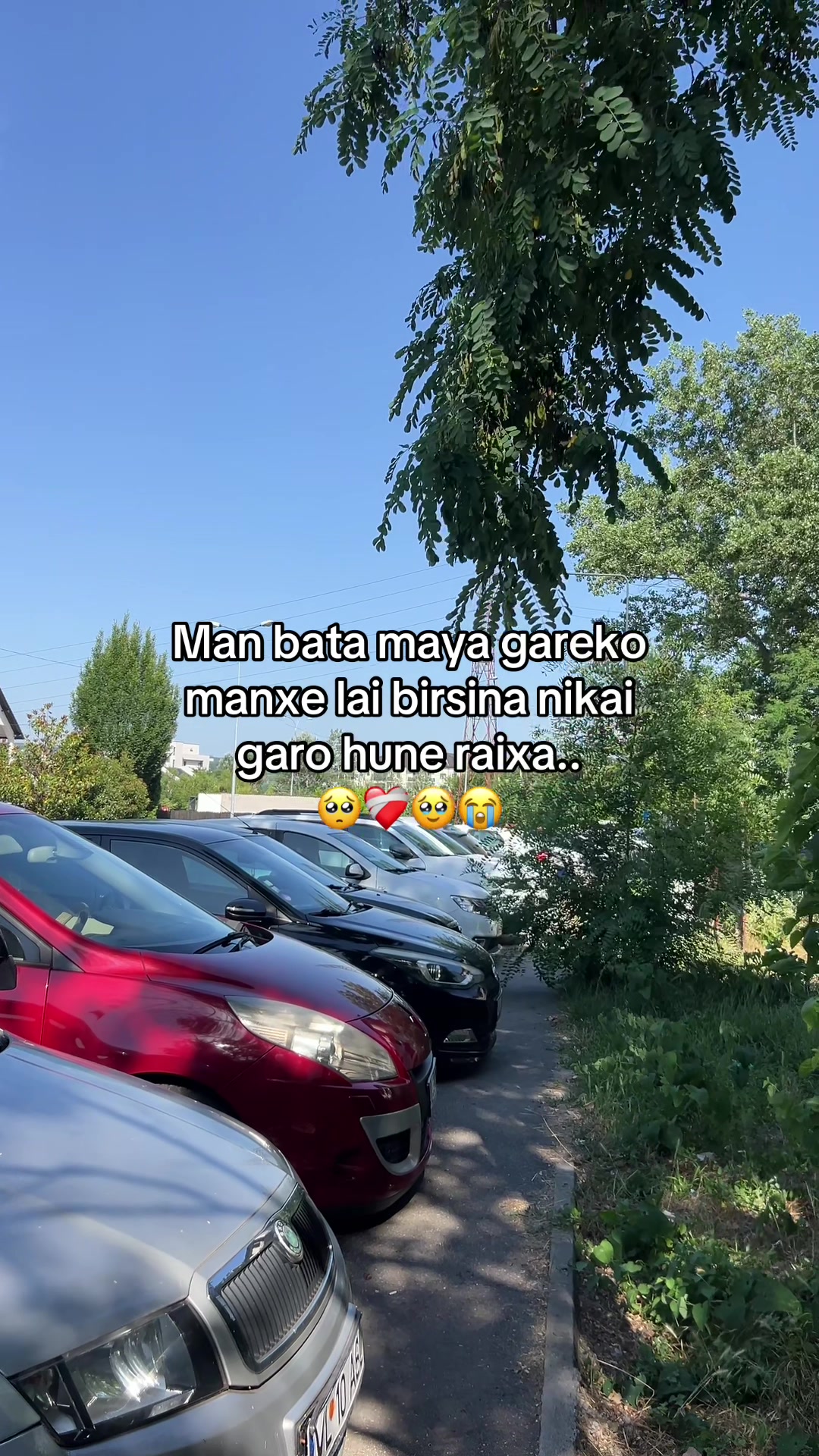 @aryan Rz 🫧