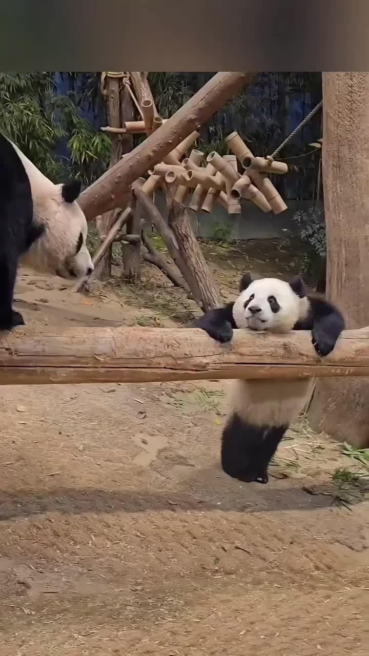 @一生等待