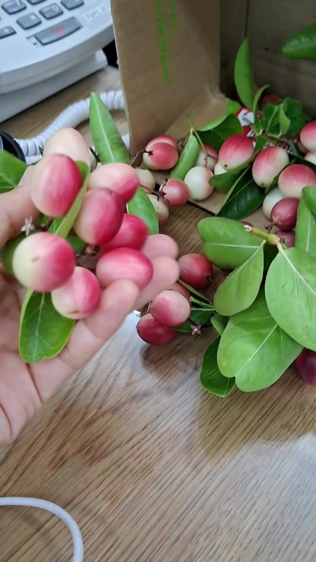 @Khuntahnun
