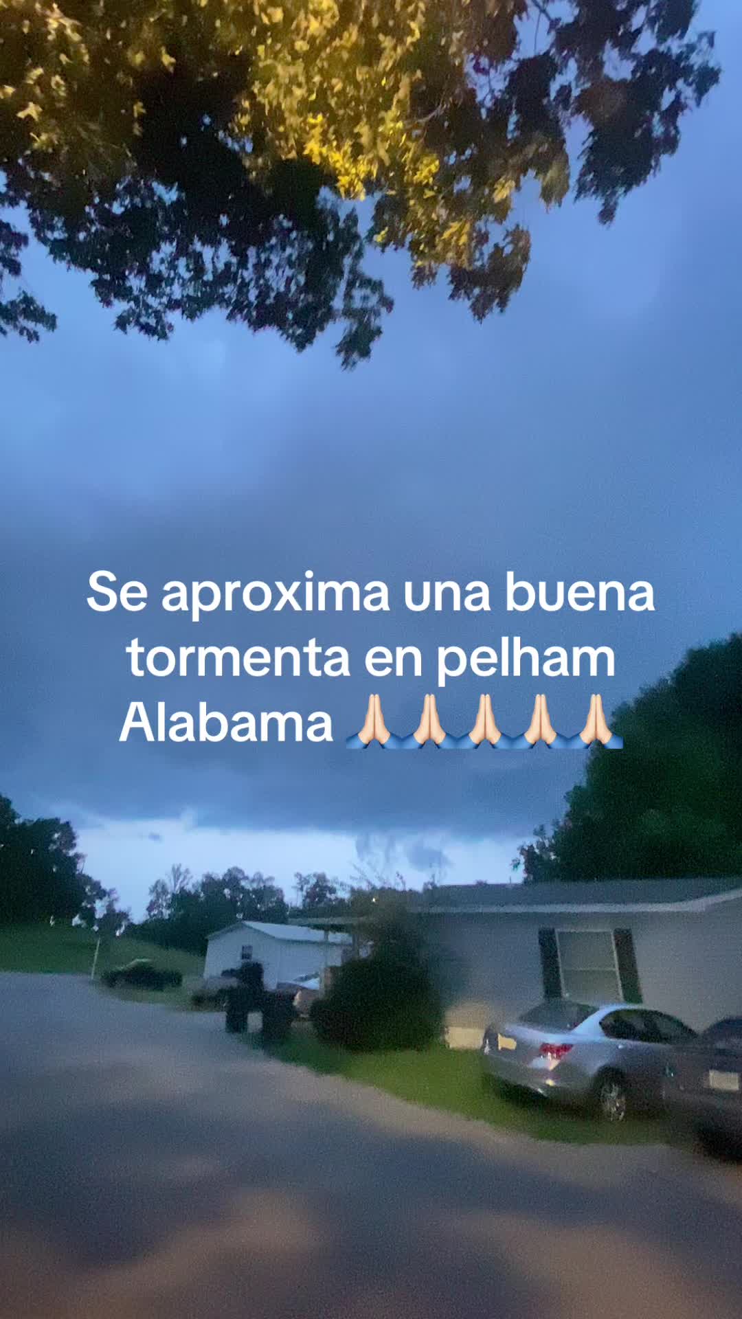 @@jalisco