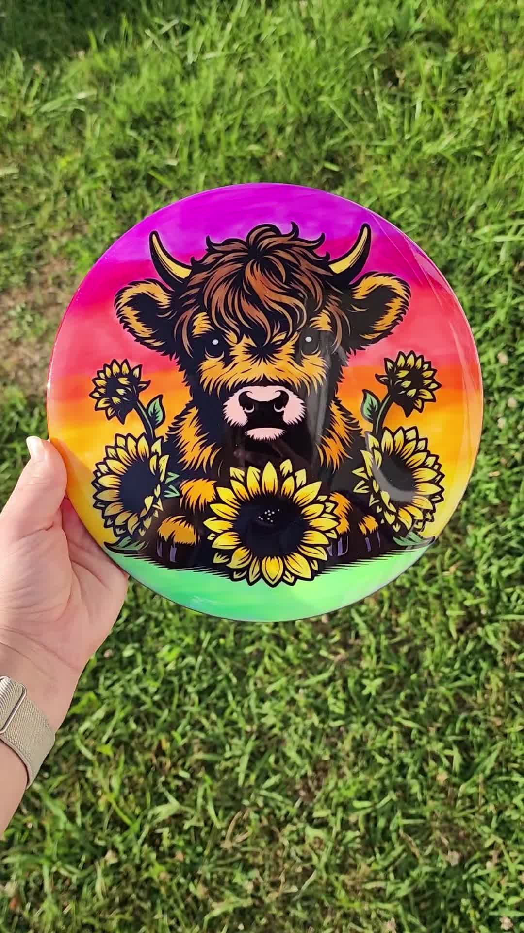 @DiscDyesByMelissa