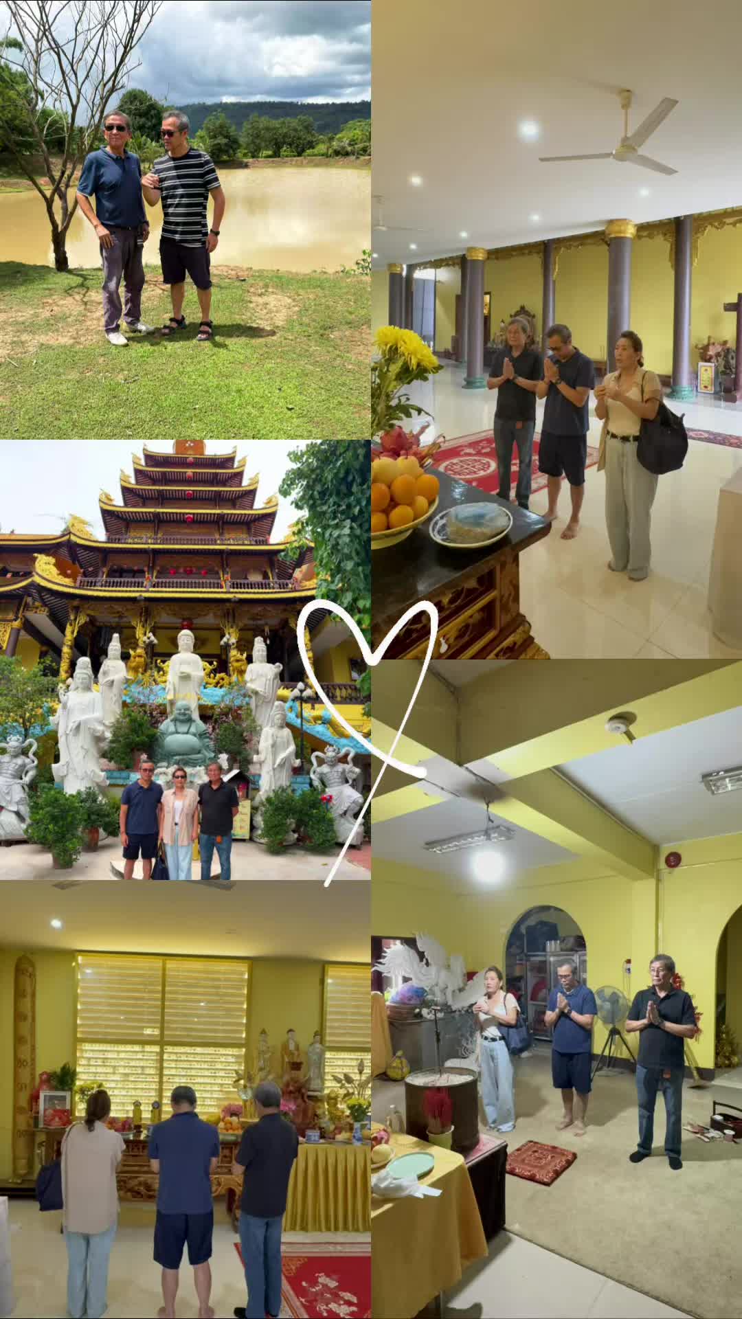 @Bạch yến ho&agrave;ng