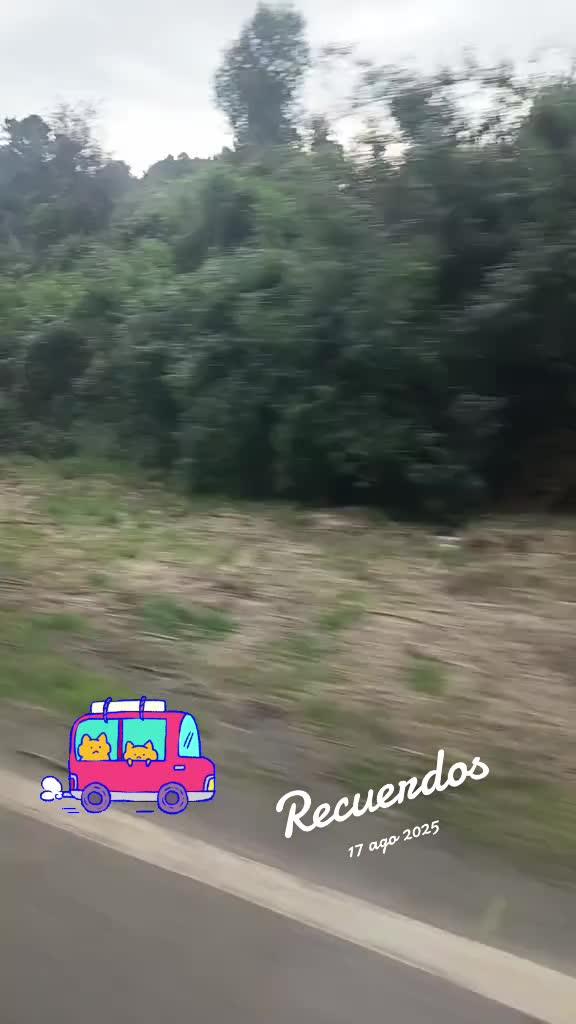 @martamillan772