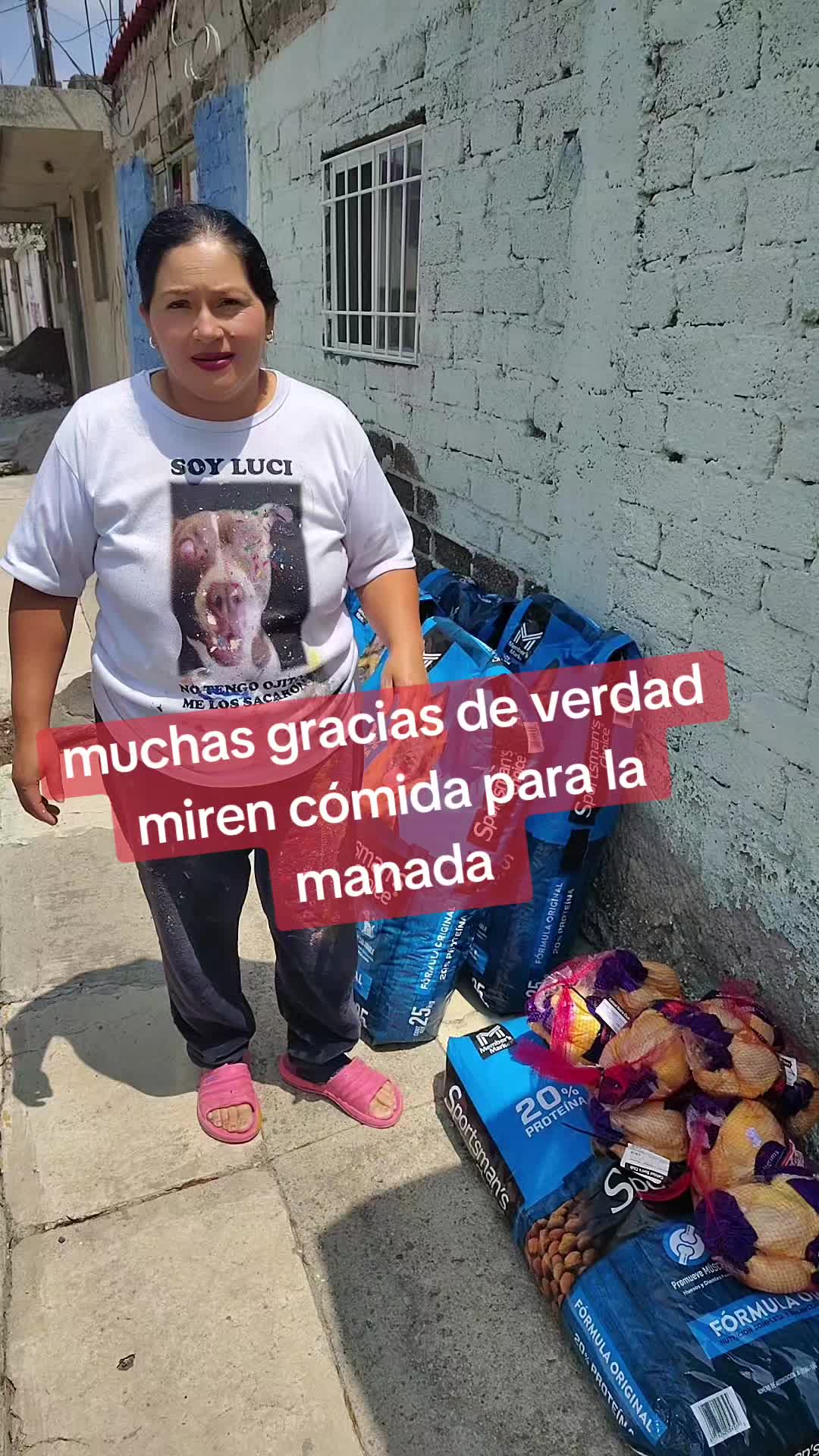 @rescate de perros guapos 😚