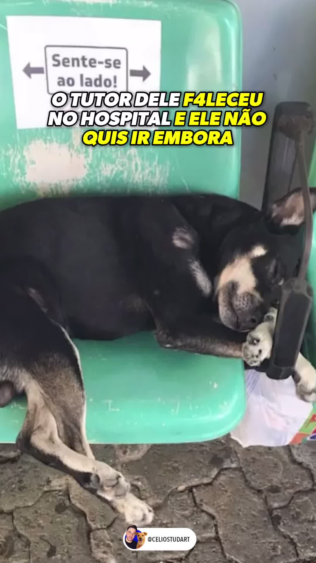 @celiostudart