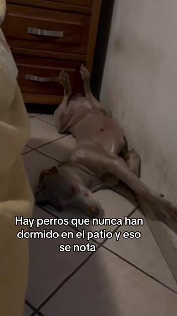 @sandra