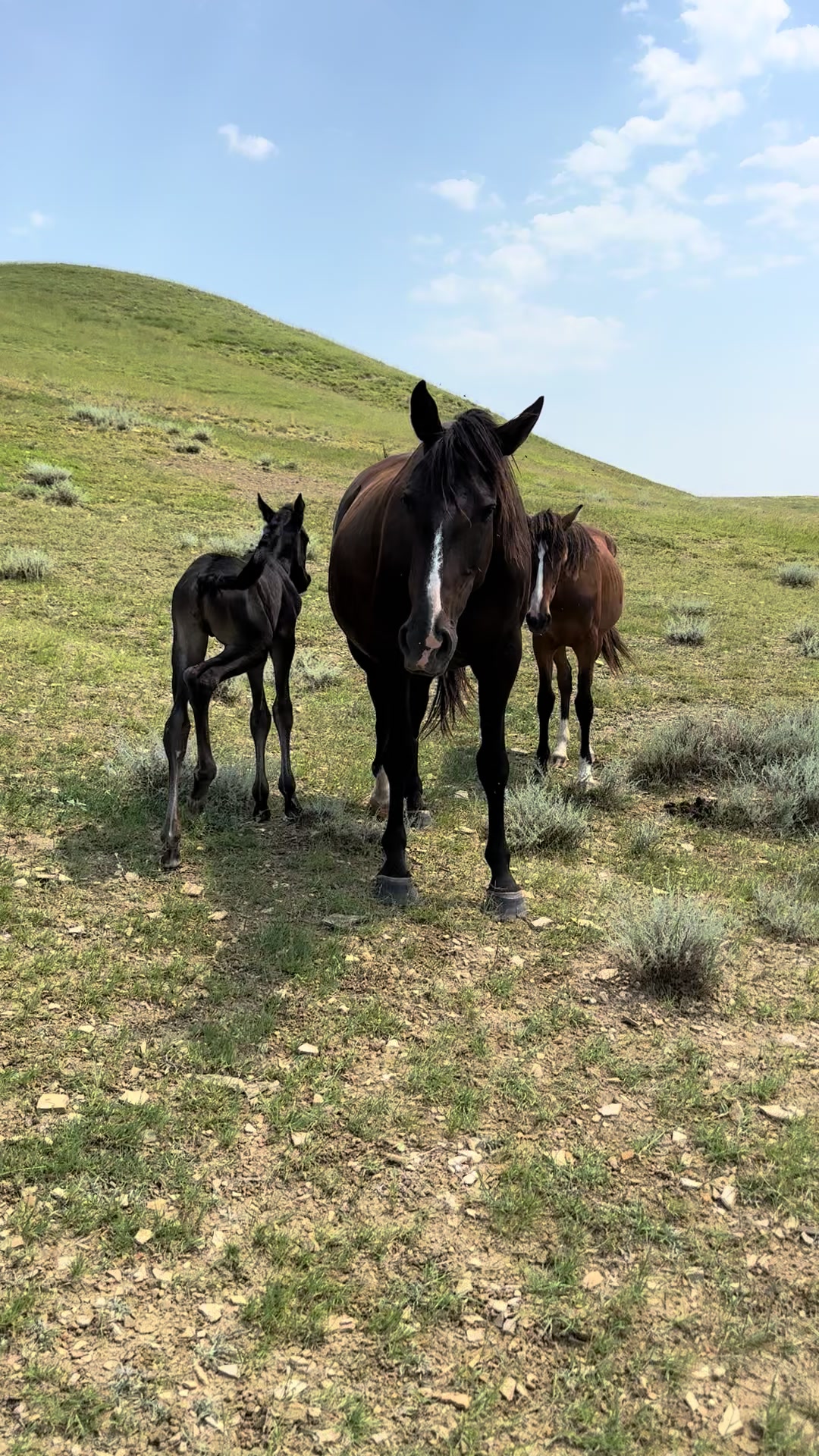 @MakvinStud