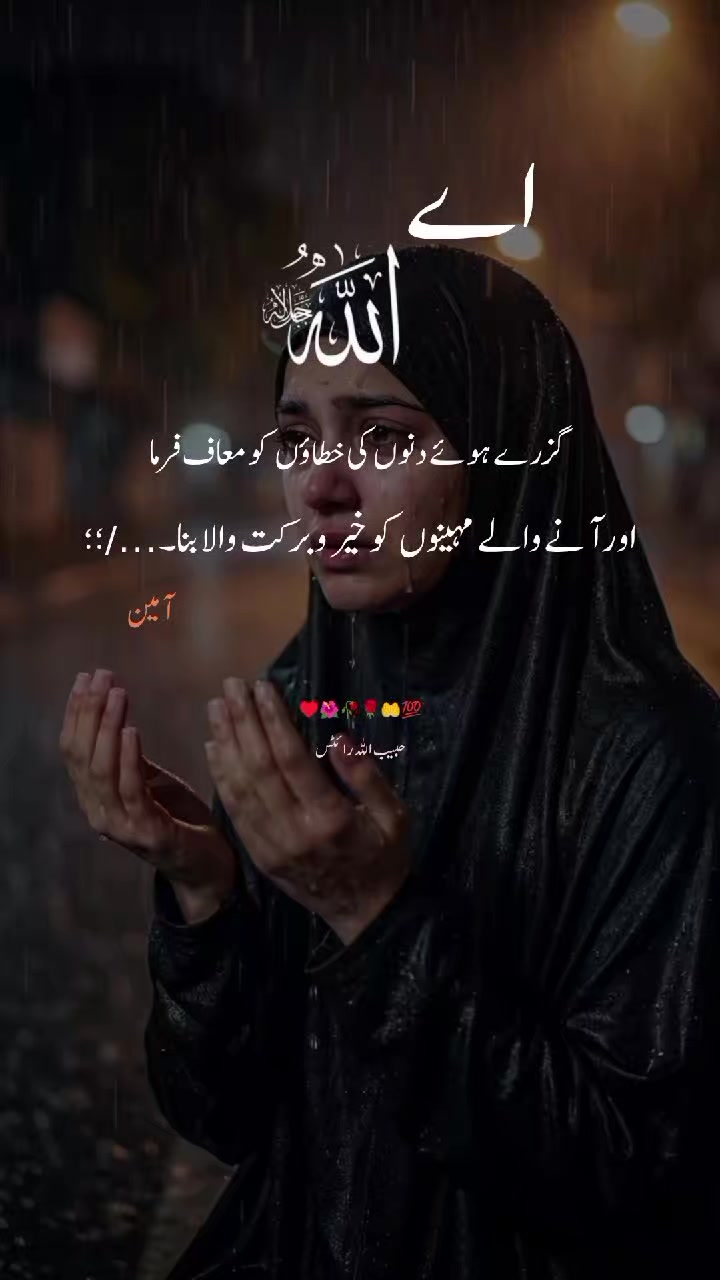 @حبیب اللہ ✍️