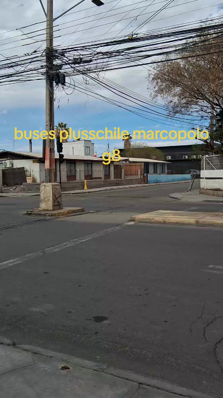 @Busología renato 😎