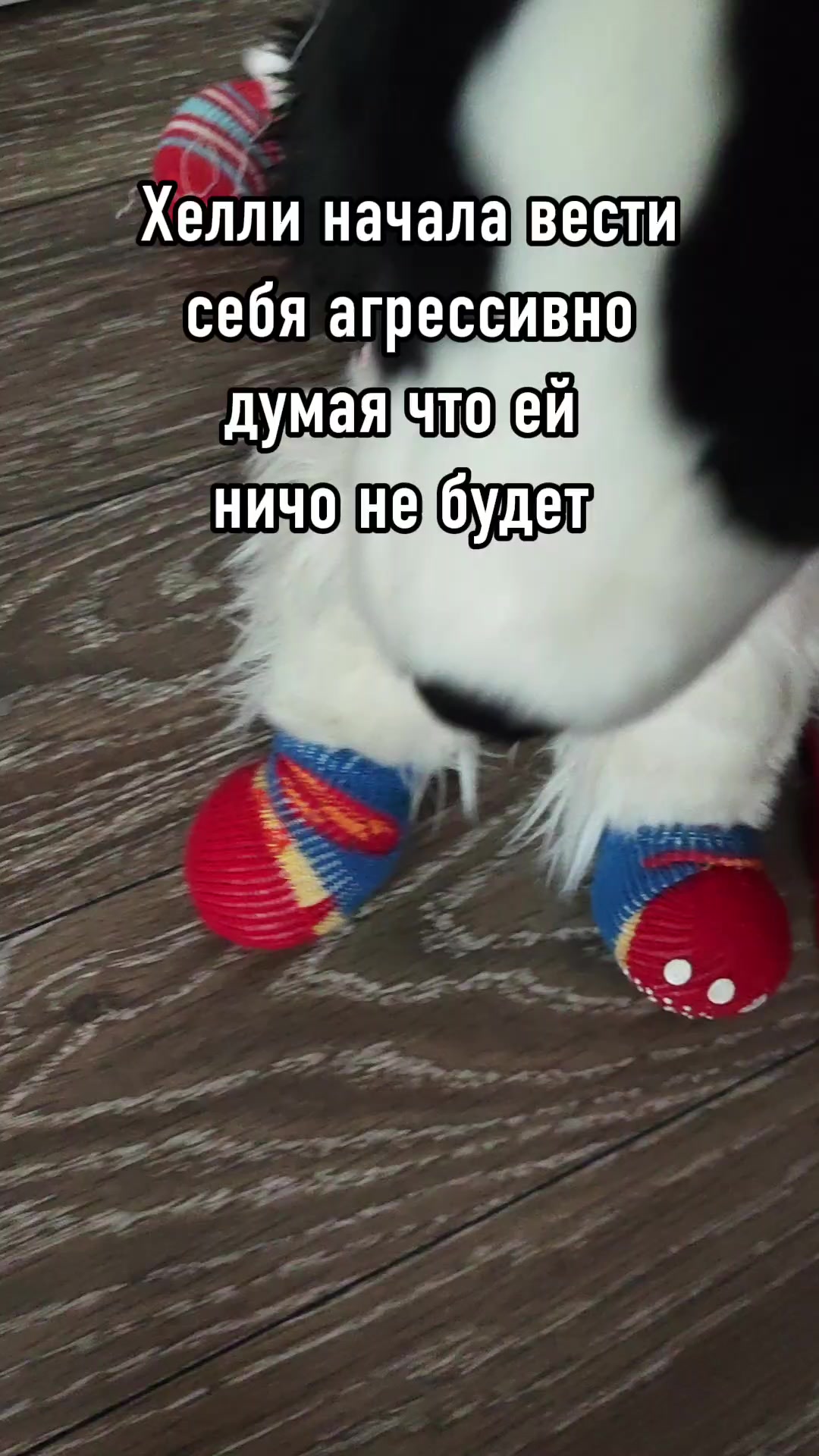 @🍦АБРИКОС🌫️[PDB] [ESSA]