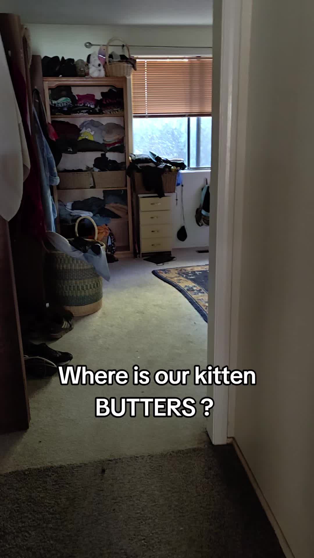 @Li