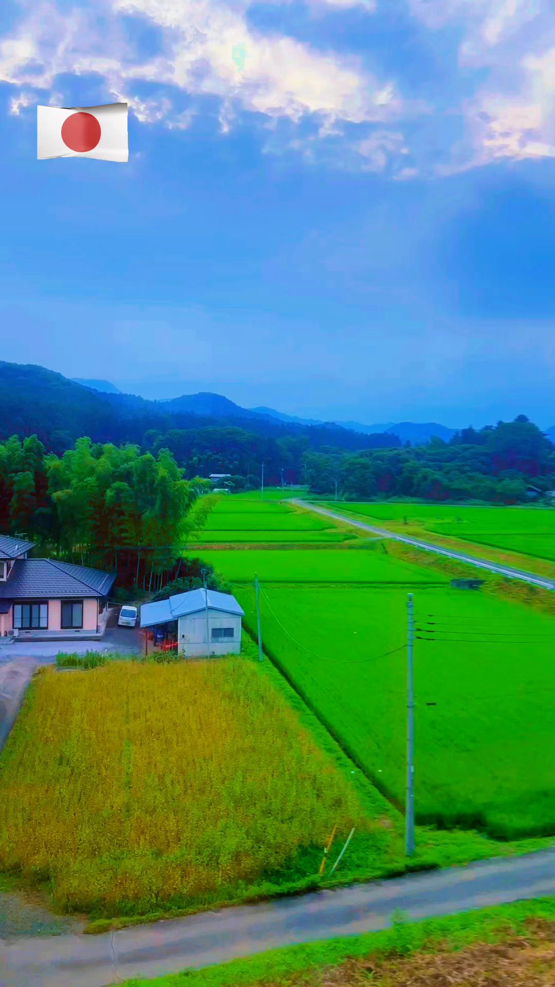 @ᴶᴬᴾᴬᴺ ᵀᴵᴳᴱᴿ 🇯🇵  🐅 🇯🇵 🌹