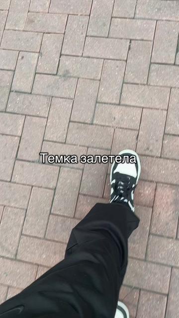 @Stealerr