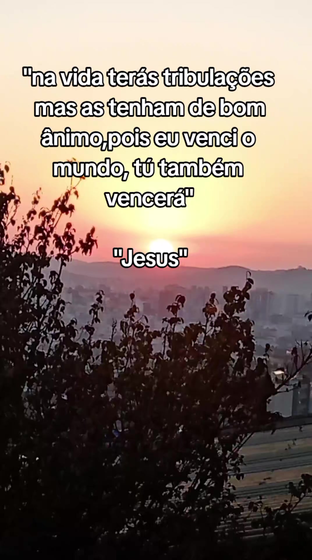 @Luciane