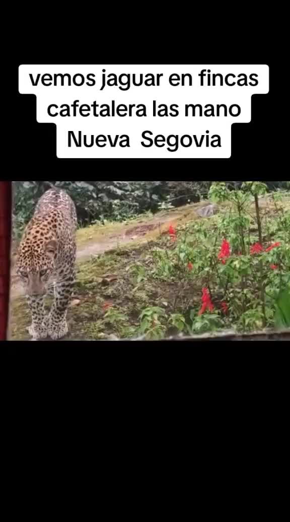 @Navarro J Orlando