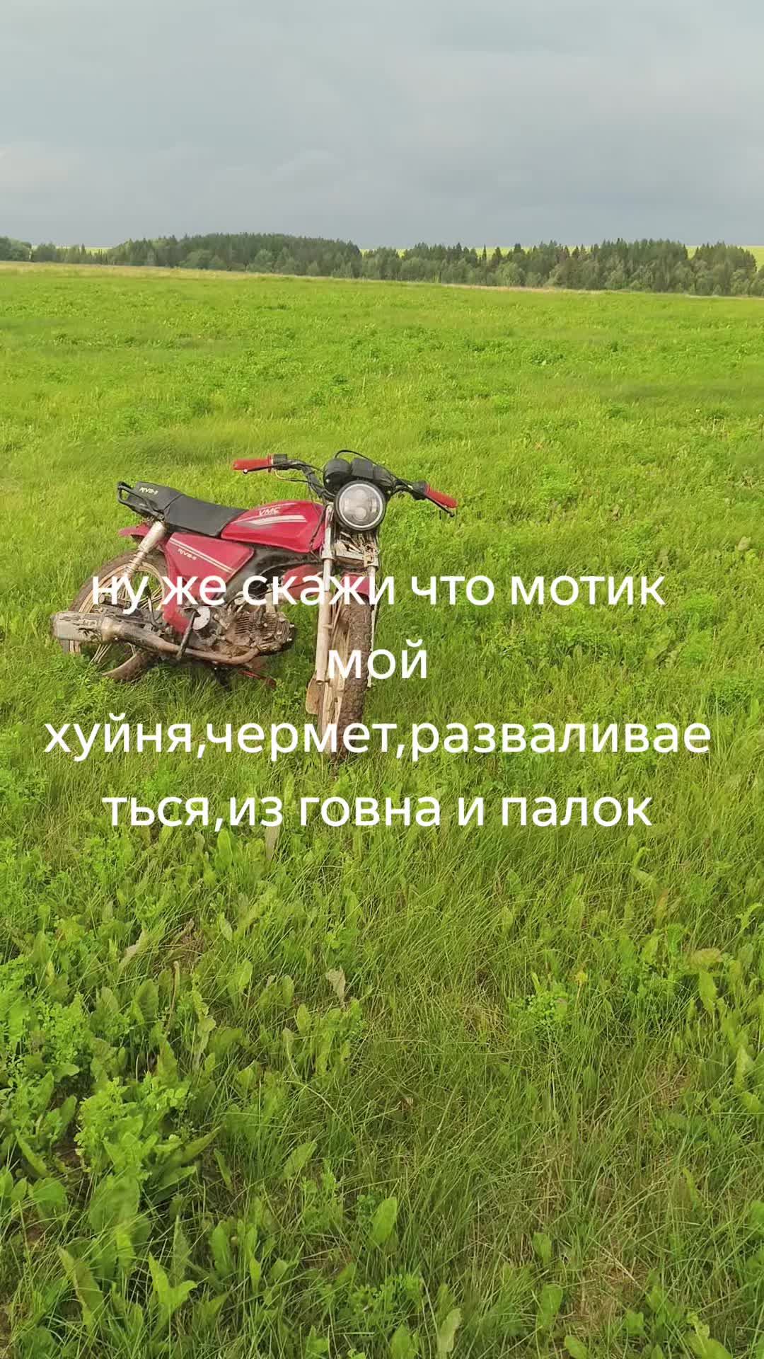 @в натуре альфавод бля
