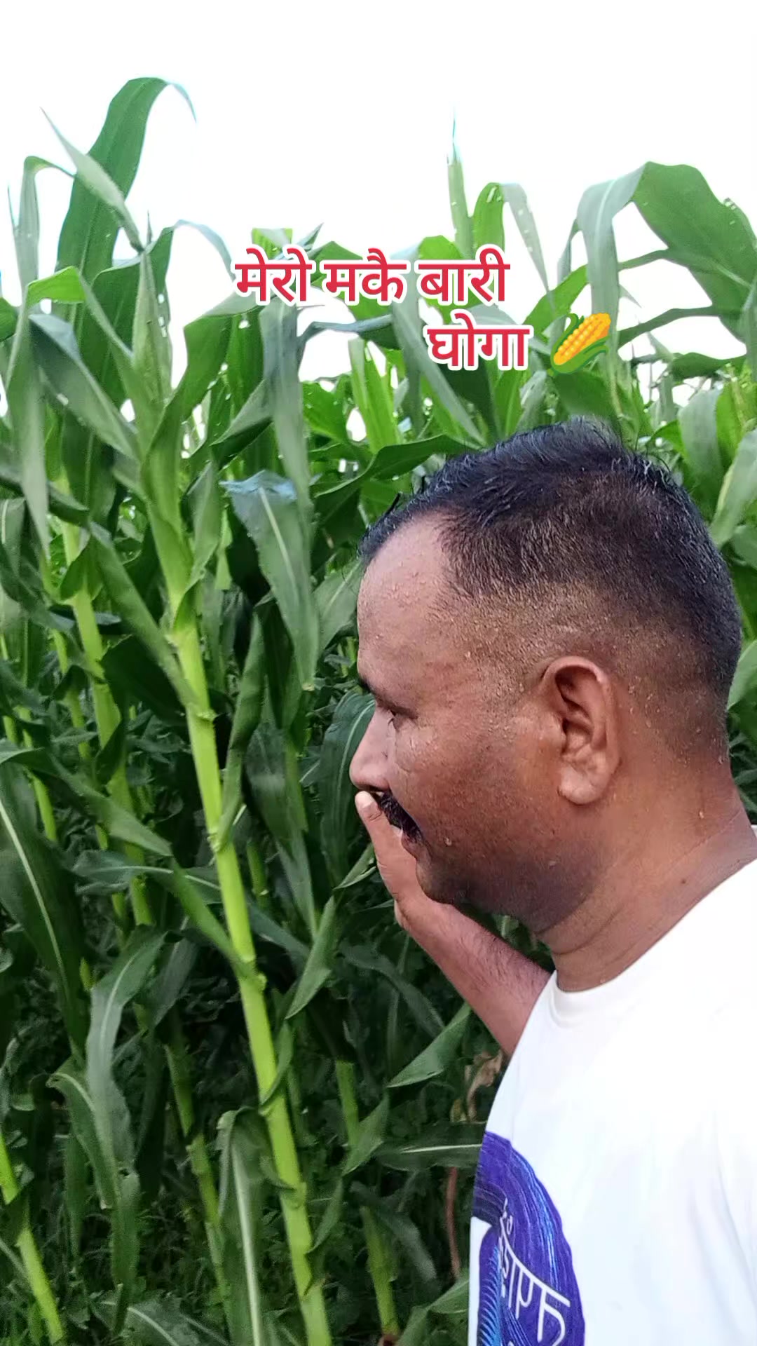 @singam dada