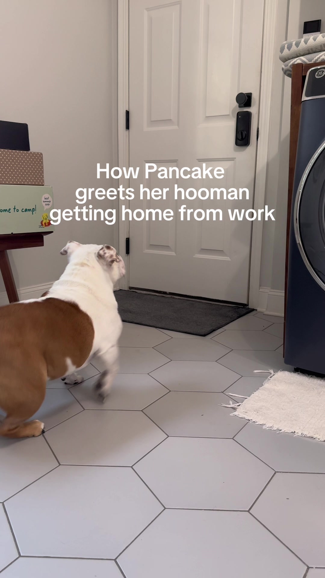 @Pancake 🥞
