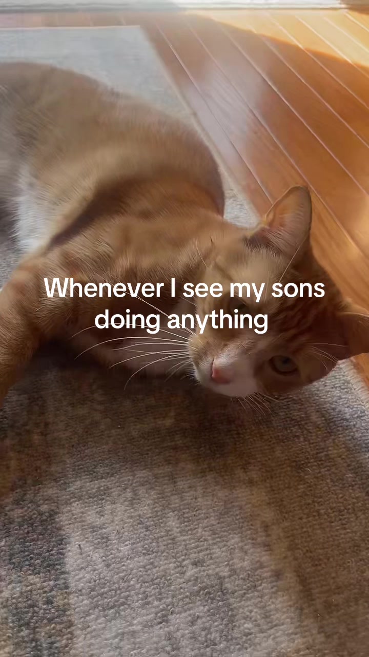 @𝐢𝐬𝐲𝐬 𝐢𝐧𝐲𝐤𝐨