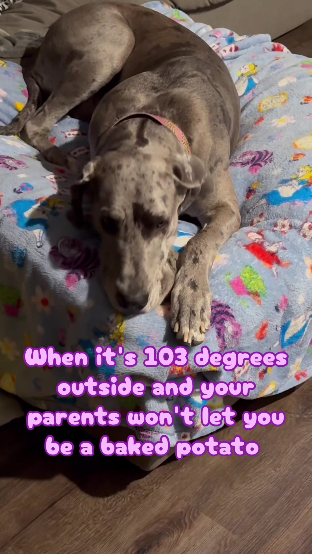 @Jenn
