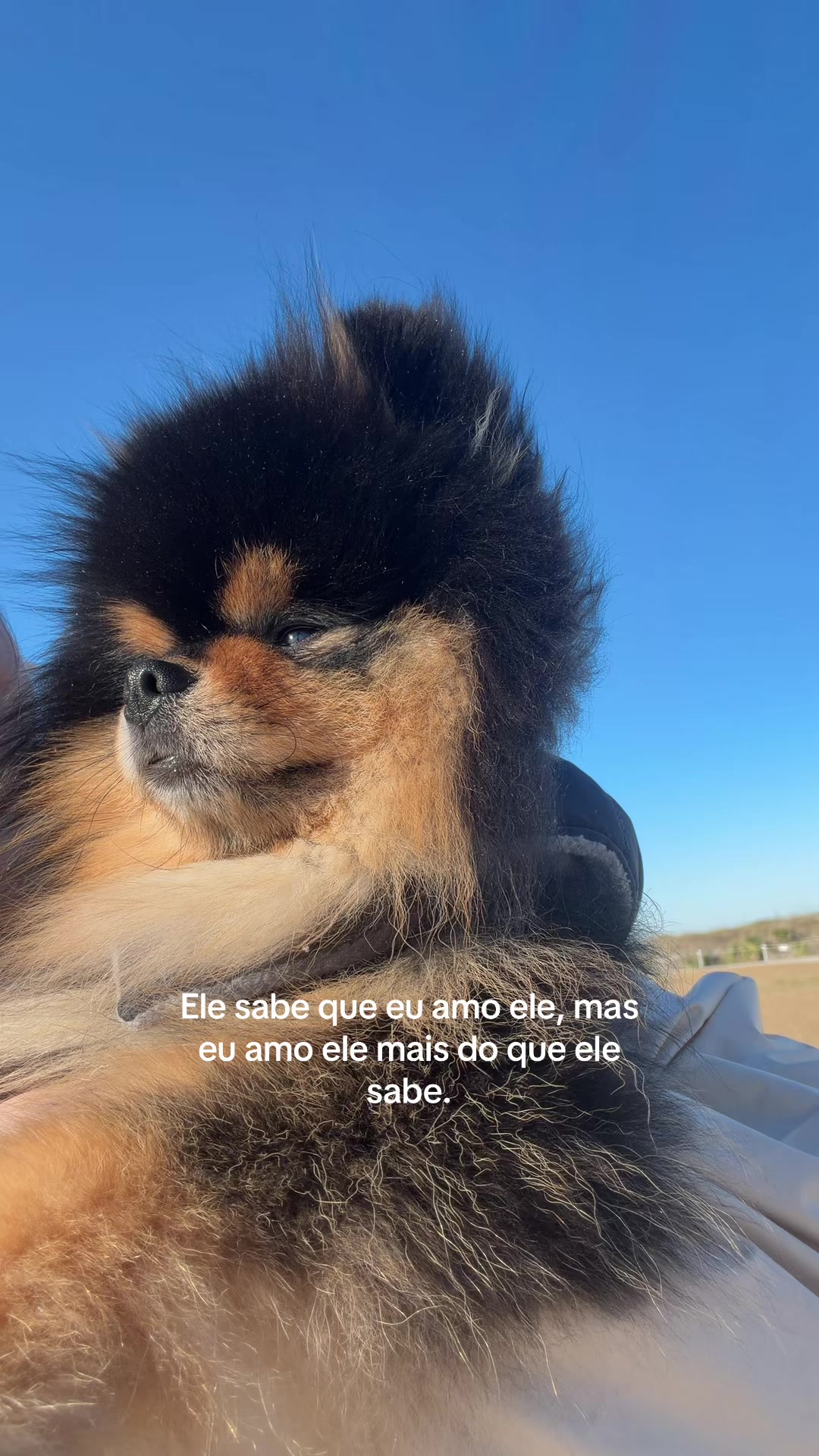 @eduardanobre.c