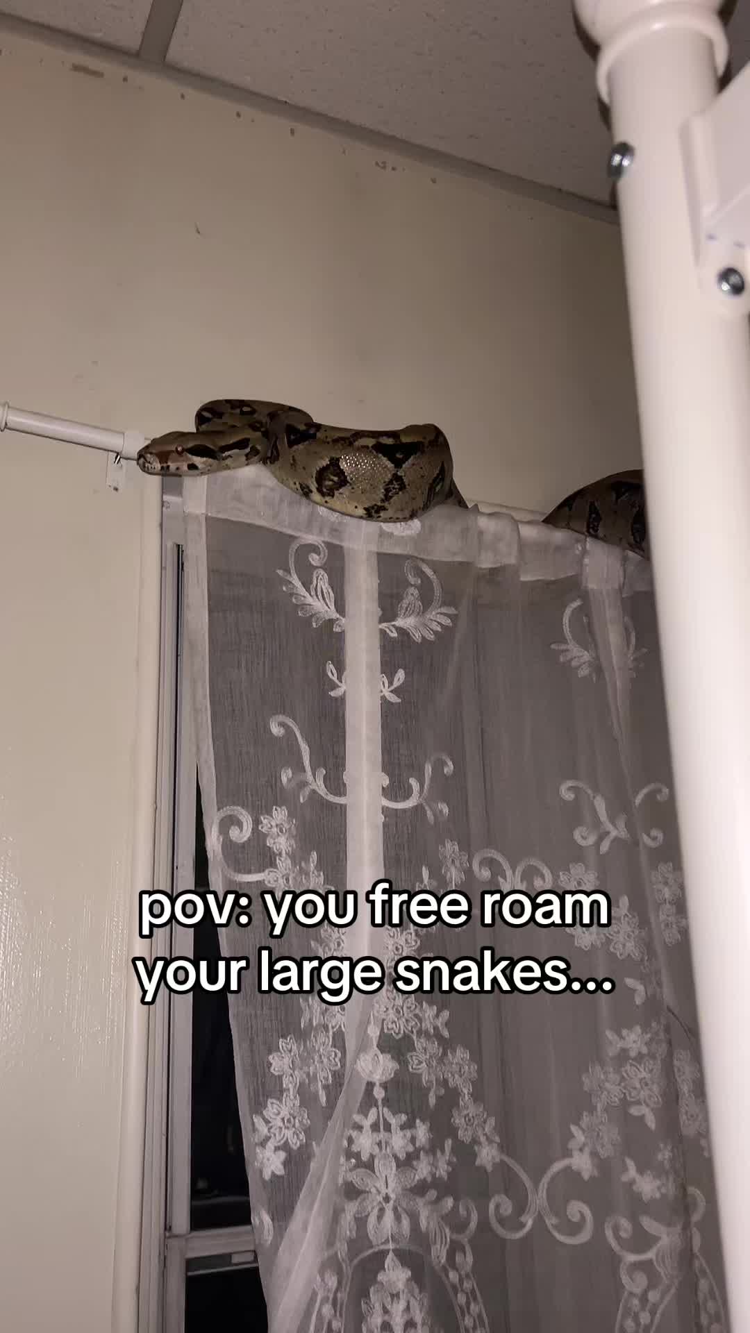 @bee🐡