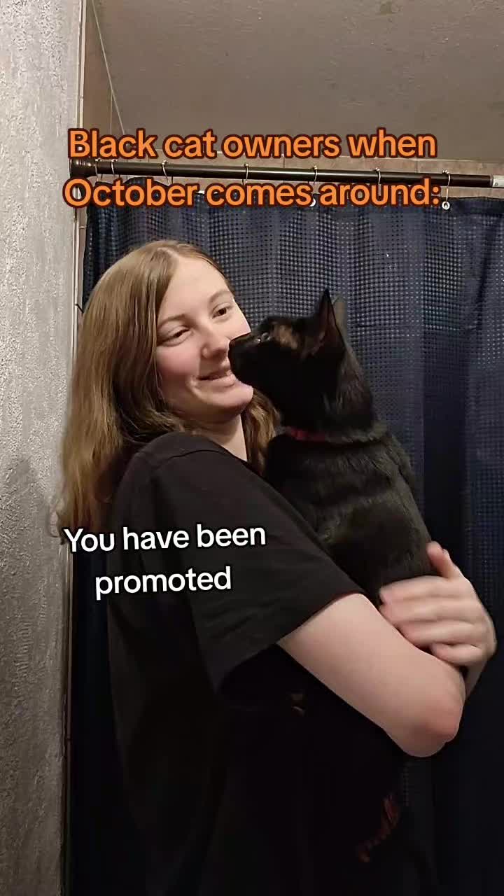 @obsessed_fangirl22
