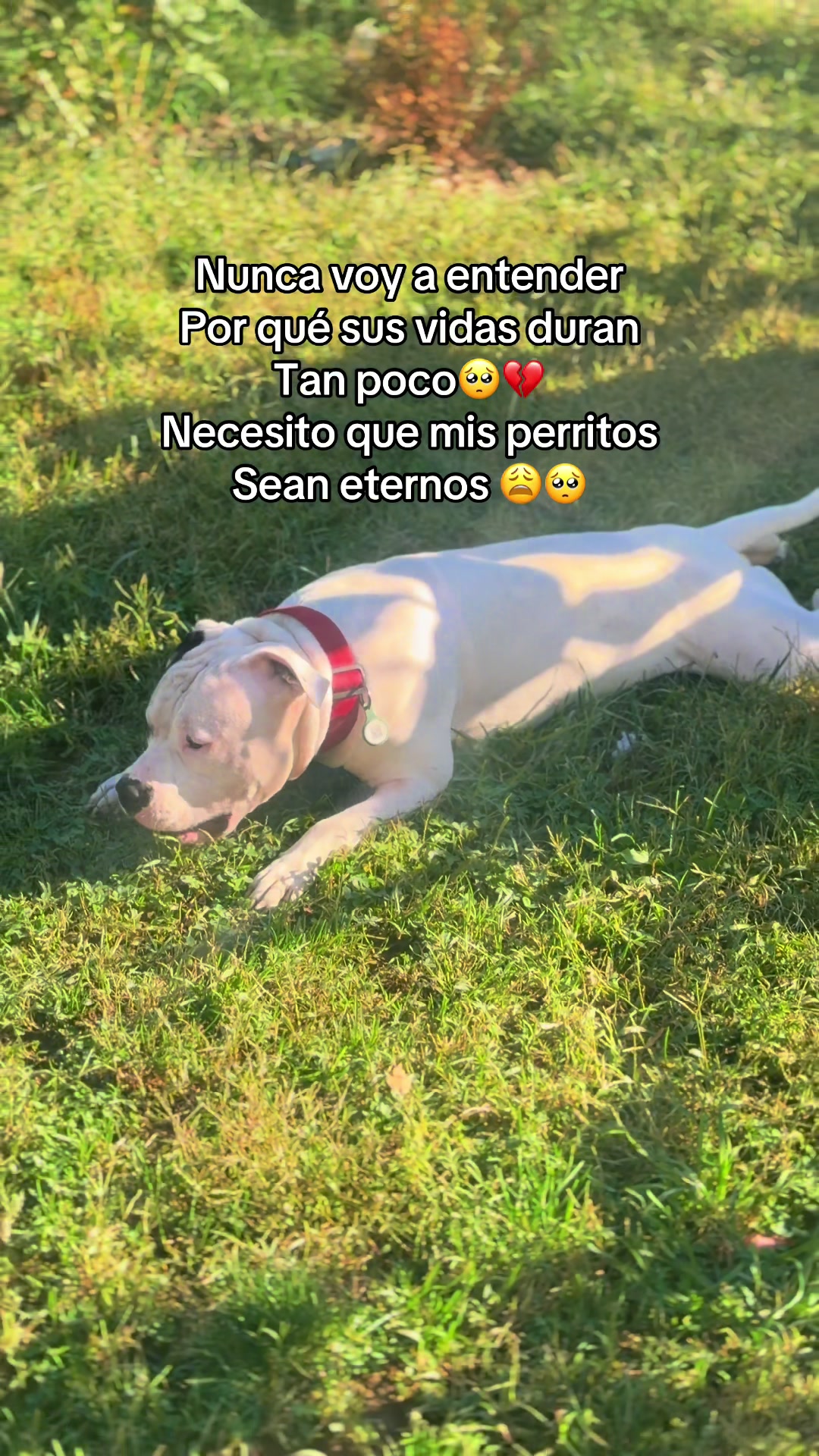 @katia_diaz0011