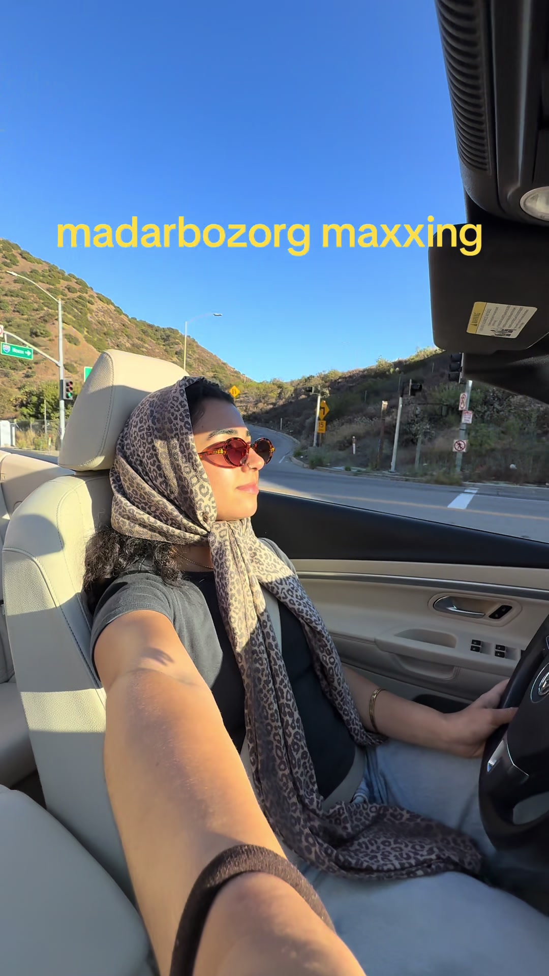 @melody roohani