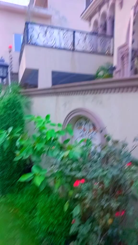 @Irfan laliya 🇵🇰