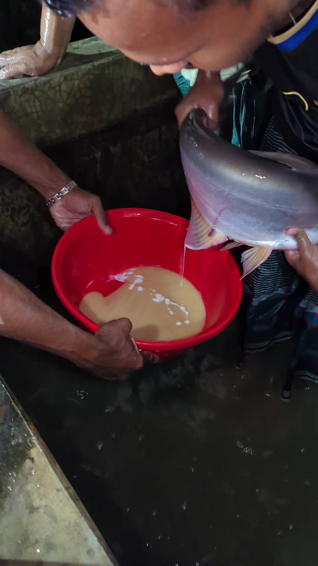 @Fish Lovers Bangladesh