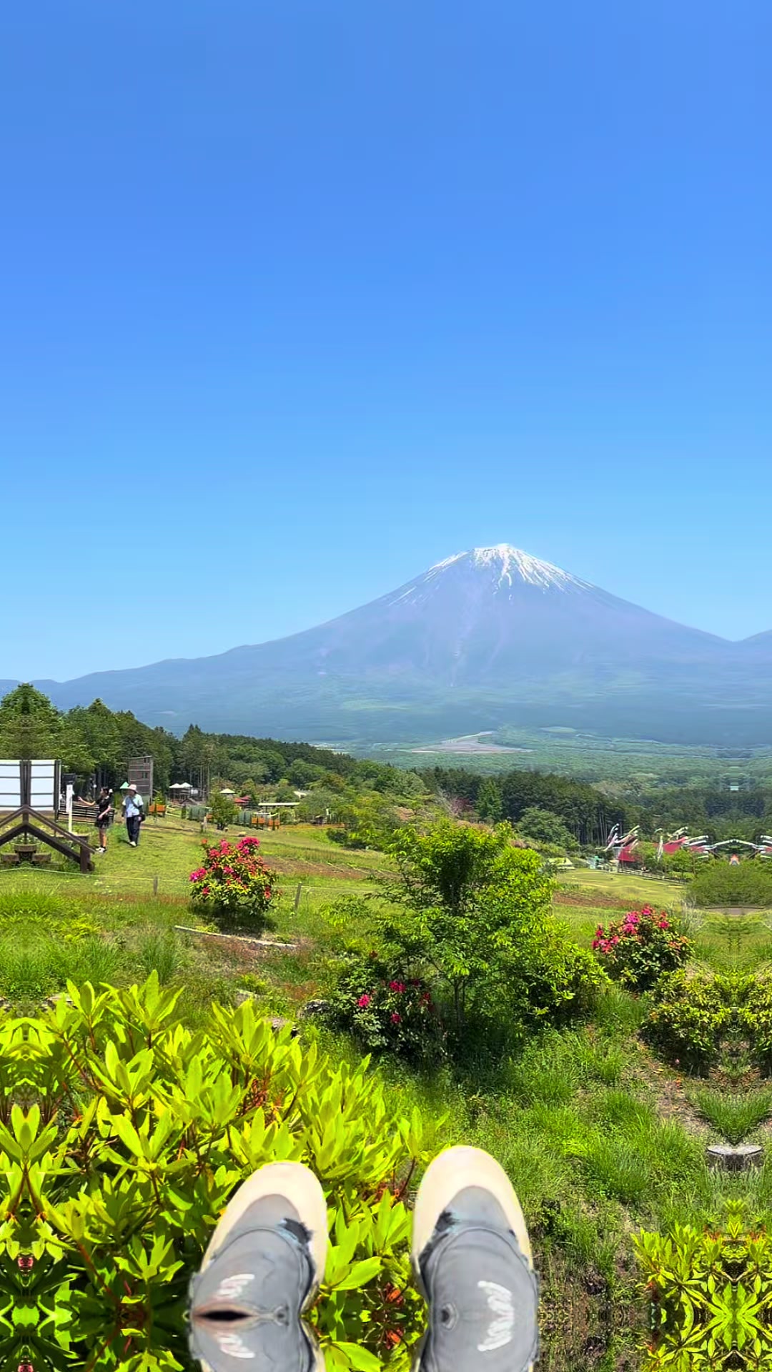 @枠荒らしの嫌われリスナー
