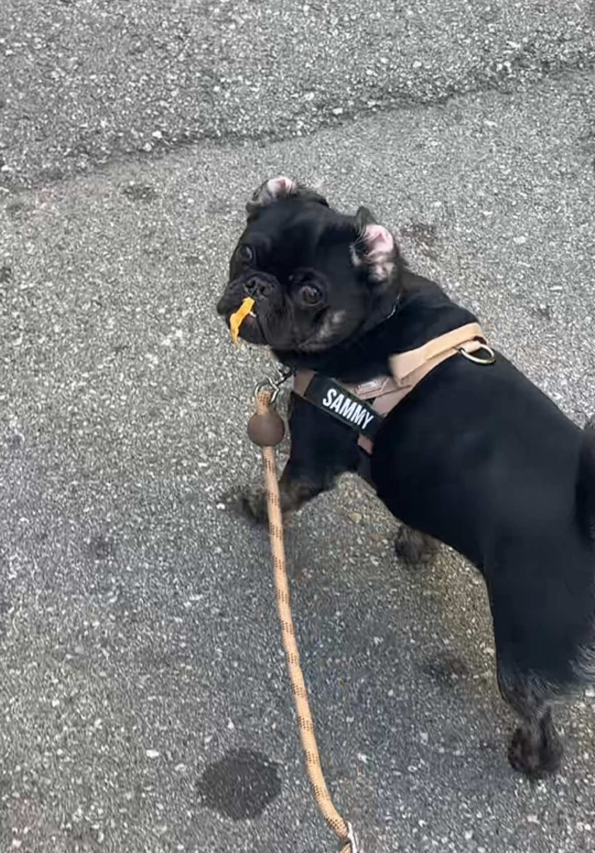 @ANNA & SAMMY