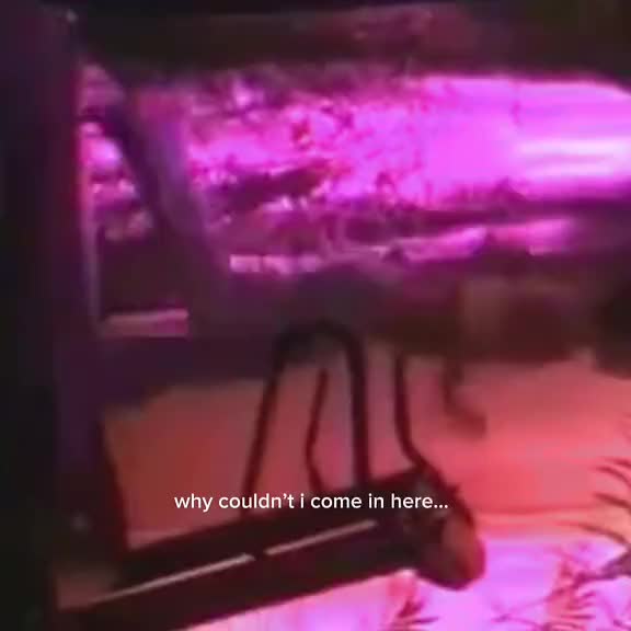 @✦ BRITNEYS UNIVERSE ✦