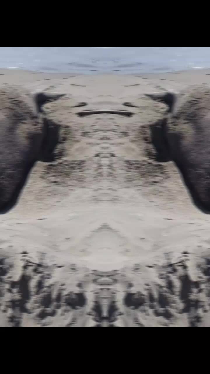 @Adán