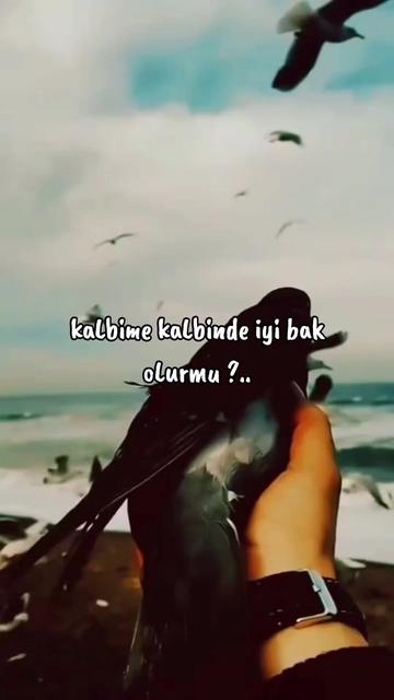 @🇹🇷 Zeynep 🇹🇷