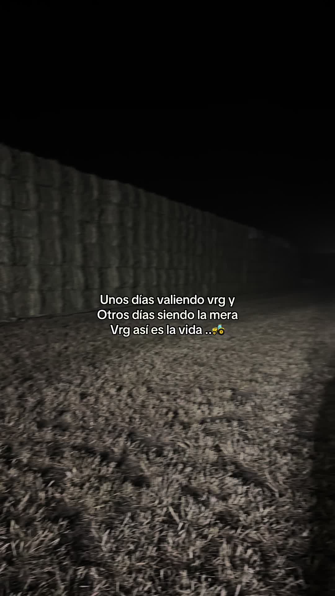 @MARTÍN 🍃