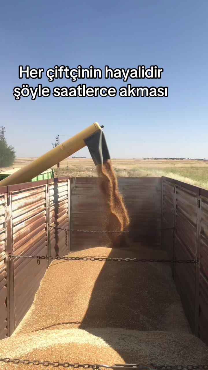 @OSMAN HACIOSMANOĞLU
