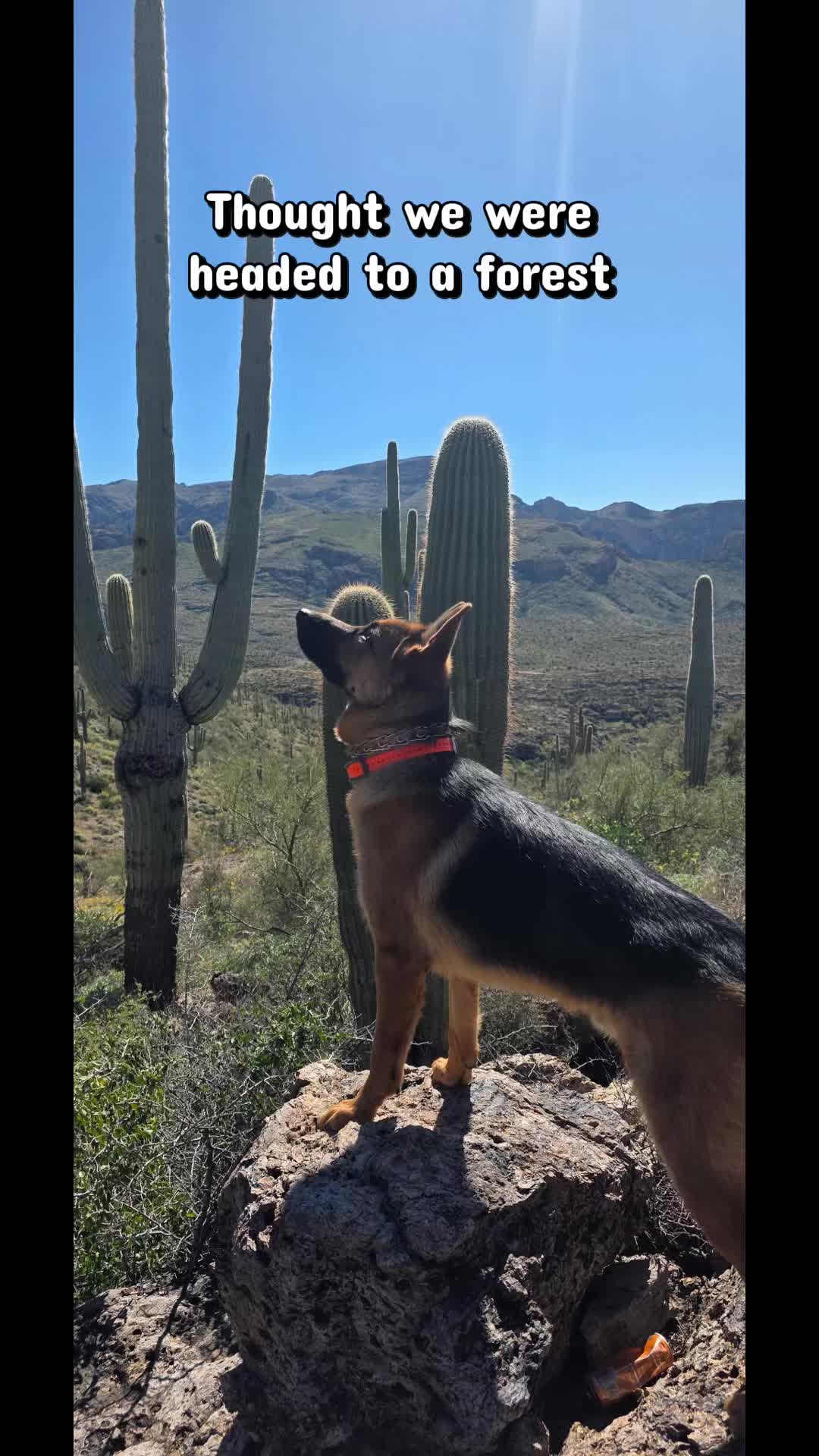 @Whiskeys Trails