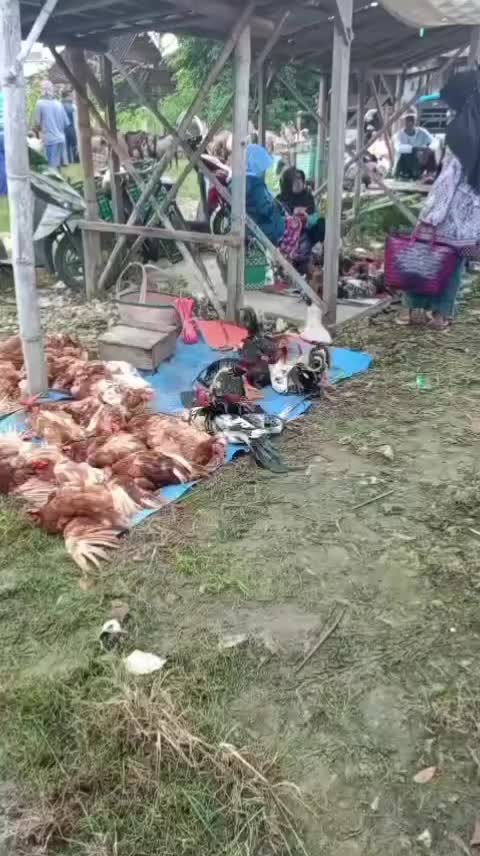 @Nila Mentari