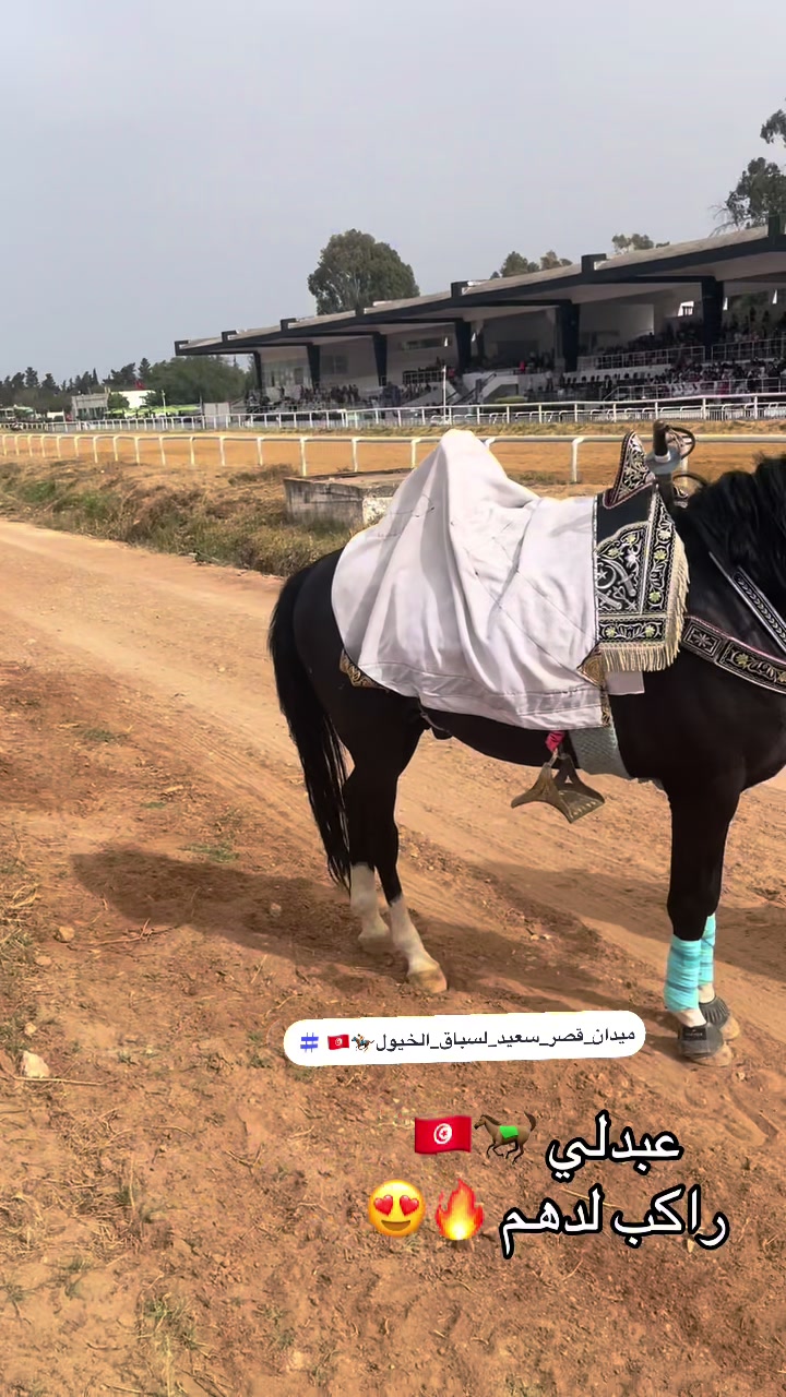 @jasser barhoumi راكب لدهم