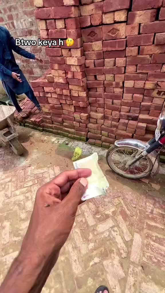 @شانی میو🌱🍁