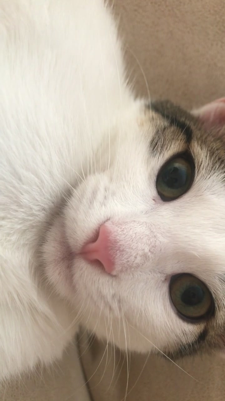 @Kiki