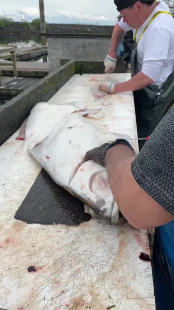 @BigSalmonMike
